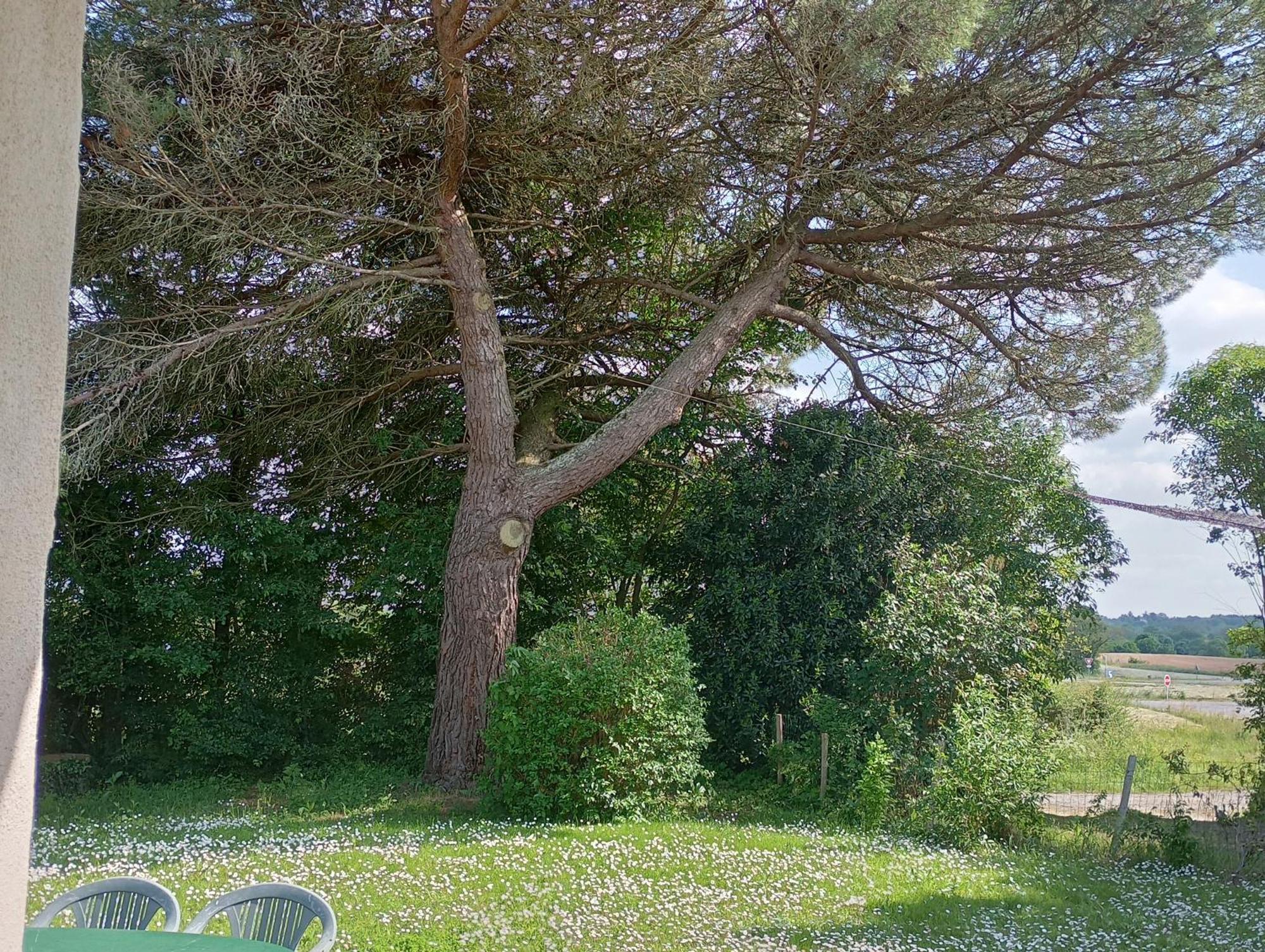 Le Petit Gué - Soleil Couchant Frossay Camera foto